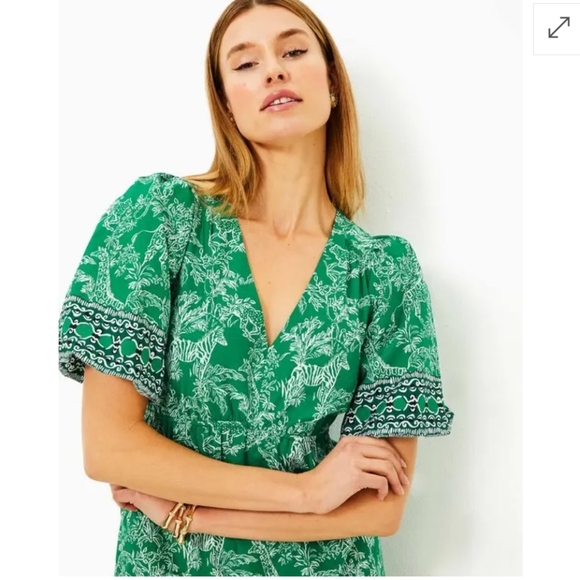 Lilly Pulitzer Kentlee Puff Sleeve Cotton Dress In Fiddle Leaf Safari Size 6 - Picture 12 of 13